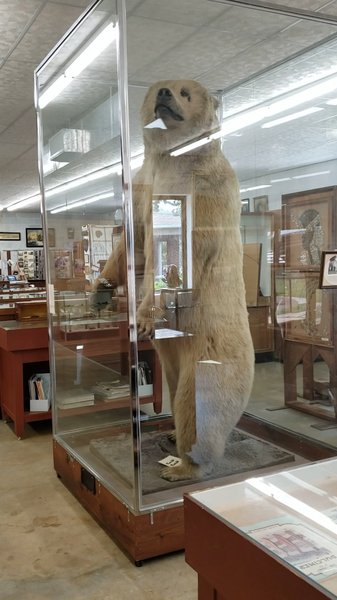 Jeff Matthews Museum photo 2