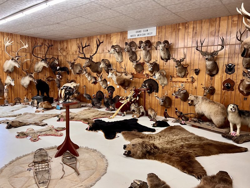 Jeff Matthews Museum photo 3