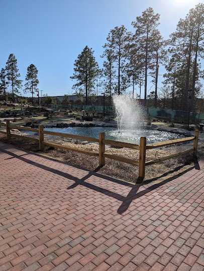 Wee Pines Mini Golf photo 6