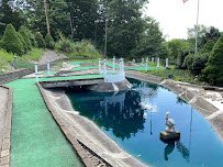 Mister C's Miniature Golf photo 6