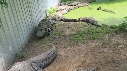 East Texas Gators and Wildlife Park photo 2