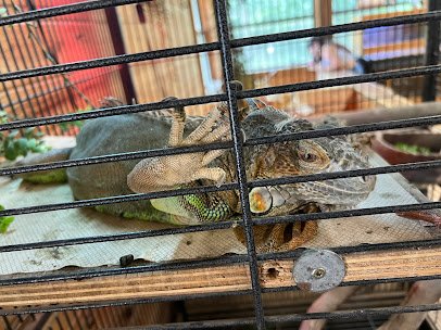 East Texas Gators and Wildlife Park photo 3