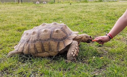 East Texas Gators and Wildlife Park photo 4