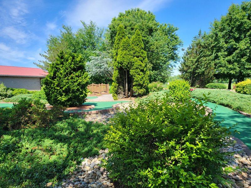Pioneer Family Golf Center photo 5