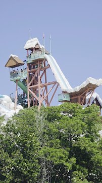 Disney's Blizzard Beach Water Park photo 2