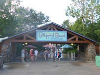 Disney's Blizzard Beach Water Park photo 5