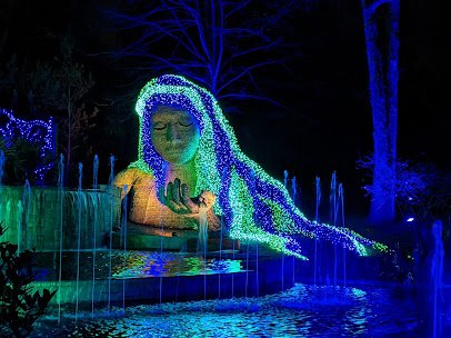 Atlanta Botanical Garden photo 3