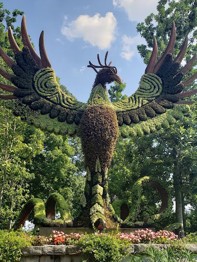 Atlanta Botanical Garden photo 5