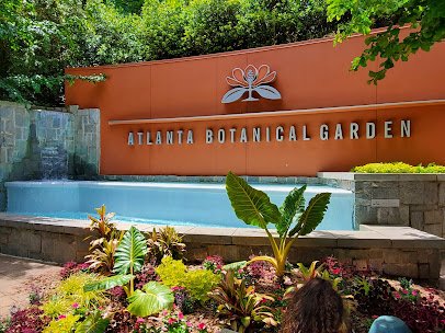 Atlanta Botanical Garden photo 6