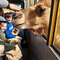 Lake Hartwell Wildlife Safari Park photo 6
