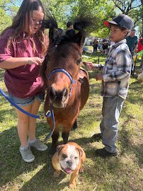 Happy Hooves mobile petting zoo photo 3