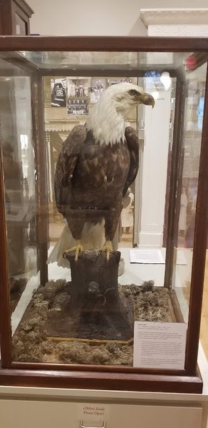 Saco Museum photo 2