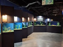 Medicine Park Aquarium and Natural Sciences Center photo 3