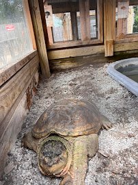 Medicine Park Aquarium and Natural Sciences Center photo 6