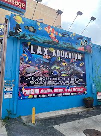 LAX Aquarium