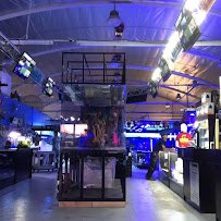 LAX Aquarium photo 2