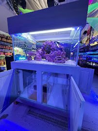 LAX Aquarium photo 5