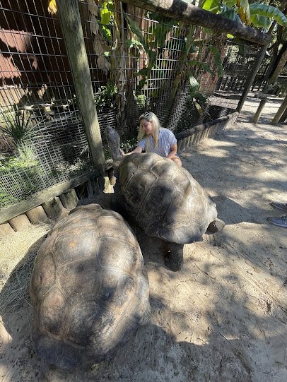 St. Augustine Alligator Farm Zoological Park photo 5