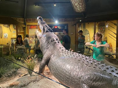St. Augustine Alligator Farm Zoological Park photo 6