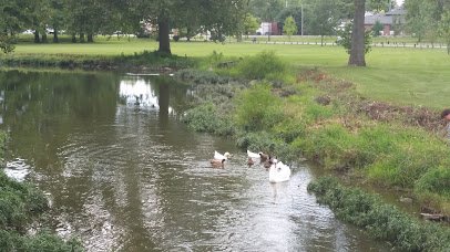 Riley Park & Splash Pad photo 6