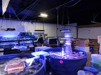 Premium Aquatics photo 5