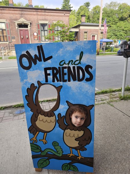 Owl & Friends photo 3
