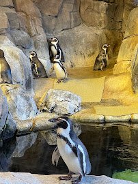 Helzberg Penguin Plaza photo 4