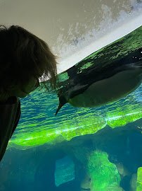 Helzberg Penguin Plaza photo 4