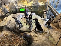 Helzberg Penguin Plaza photo 5