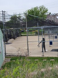 Swing Time Golf & Baseball photo 5