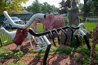 Braidwood Zoo photo 2
