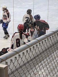 The Ponds of Brookfield Ice Arena photo 4