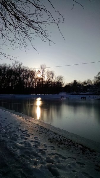 Madison Ice Skating Rink photo 6