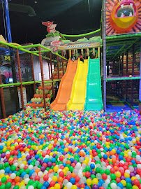 No Surrender Adventure Park photo 5