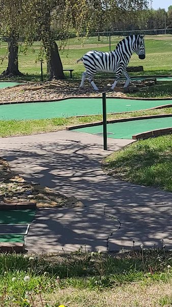 Corner21 Co Sports Safari Golf photo 2