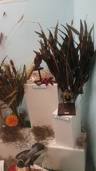 Elgin Public Museum photo 2