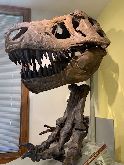 Elgin Public Museum photo 4