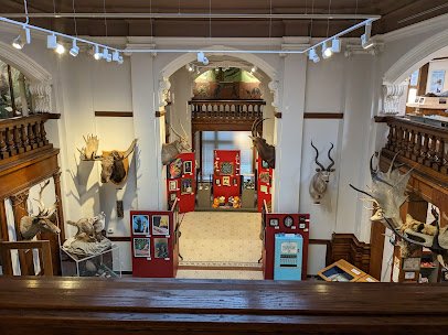 Elgin Public Museum photo 5