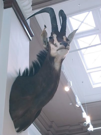 Elgin Public Museum photo 6