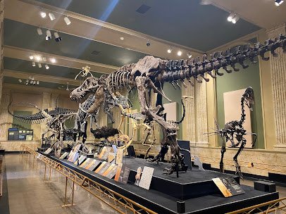 Dinosaur Discovery Museum photo 3