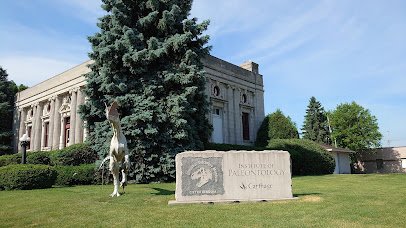Dinosaur Discovery Museum photo 6