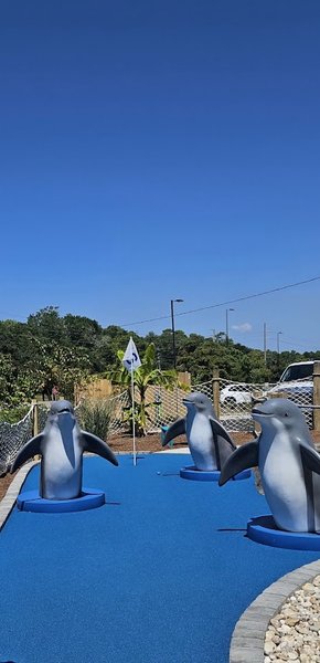 Surfs Up Mini Golf & Tiki Bar photo 4
