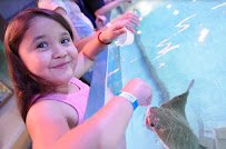 Woodbridge Aquarium & Wildlife