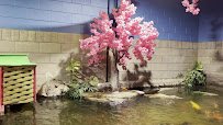 Woodbridge Aquarium & Wildlife photo 2