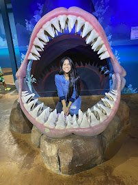 Woodbridge Aquarium & Wildlife photo 3