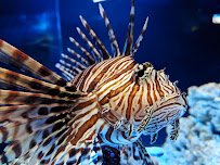 Woodbridge Aquarium & Wildlife photo 5