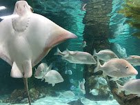Woodbridge Aquarium & Wildlife photo 6