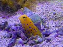 Aquarium Services of Oregon LLC. photo 3