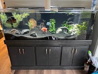 Aquarium Services of Oregon LLC. photo 5