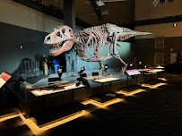 Saint Louis Science Center photo 4